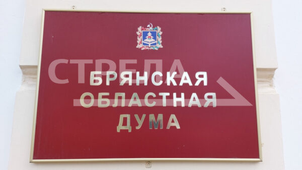 В Брянской облдуме обсудили реализацию нацпроекта «Экология»