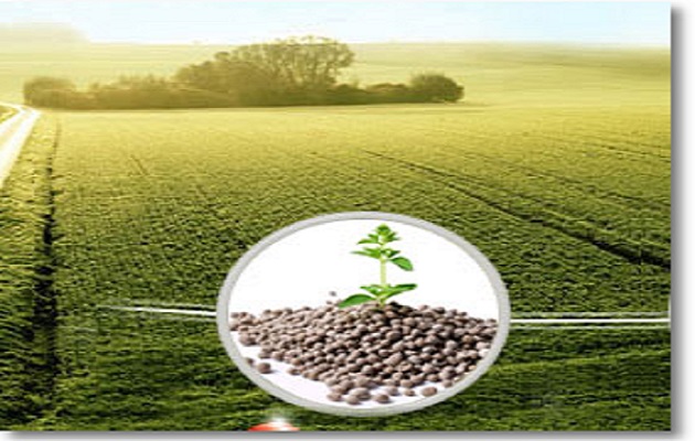 Новые участники нацпроекта «Производительность труда» приступают к реализации проекта