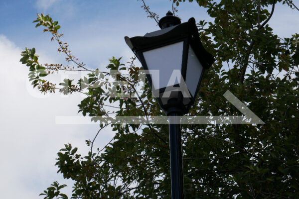 На Брянщине продолжается благоустройство парков и скверов 