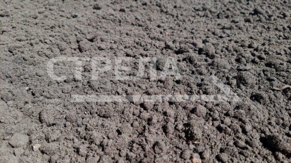 В брянском регионе многодетным семьям предоставили почти 7 тысяч земельных участков