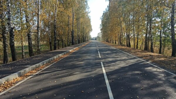 По нацпроекту обновили участок автотрассы «Брянск-Новозыбков»-Кокино-Скуратово