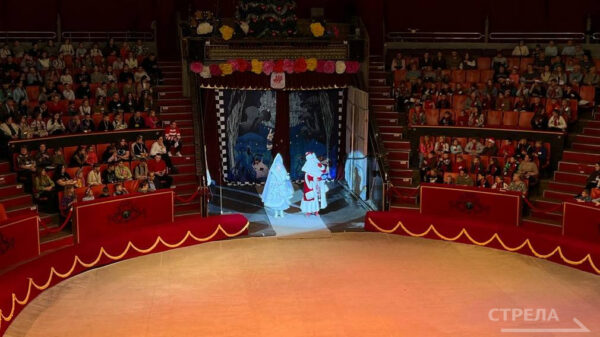 В Брянске состоялось торжественное открытие Губернаторской новогодней елки