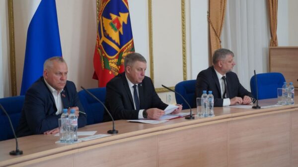 В брянском регионе на финансовую поддержку семей с детьми за 5 лет было направлено свыше 8,8 млрд рублей