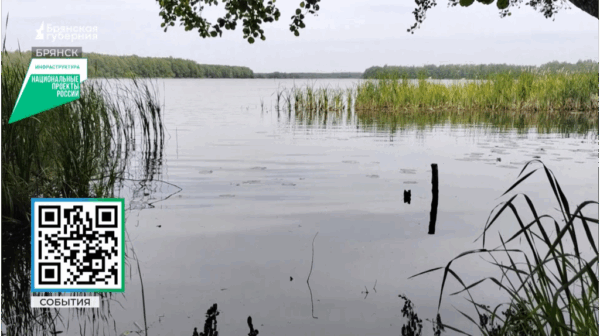 В Брянске в голосовании по благоустройству лидирует парк «Олимпийский»