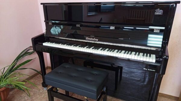 Школу искусств в брянской Дубровке оснастили новыми музыкальными инструментами и оборудованием