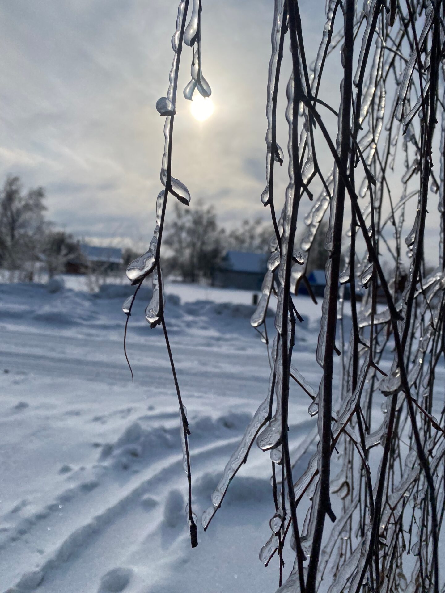 Проект брянской газеты «Красногорская жизнь» «Фотографируют наши читатели»