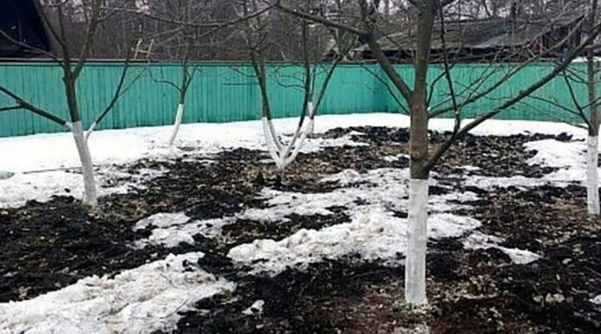 Для садоводов и огородников брянской Красногорщины