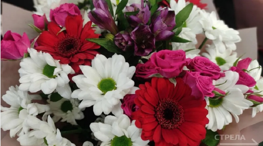 Брянский губернатор Александр Богомаз поздравил земляков с госнаградами