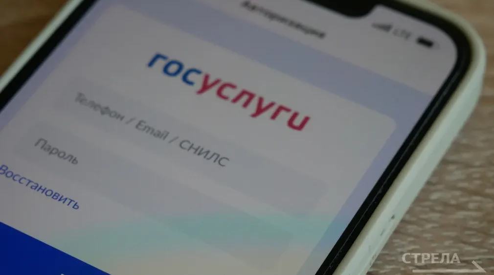 Приложение «Госуслуги Дом» помогает жителям Брянщины в управлении недвижимостью