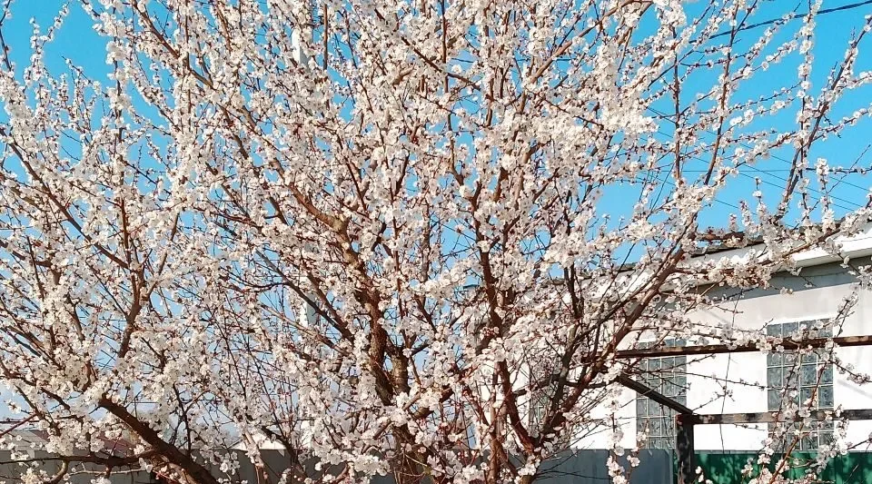 Проект брянской газеты «Красногорская жизнь» «Фотографируют наши читатели»