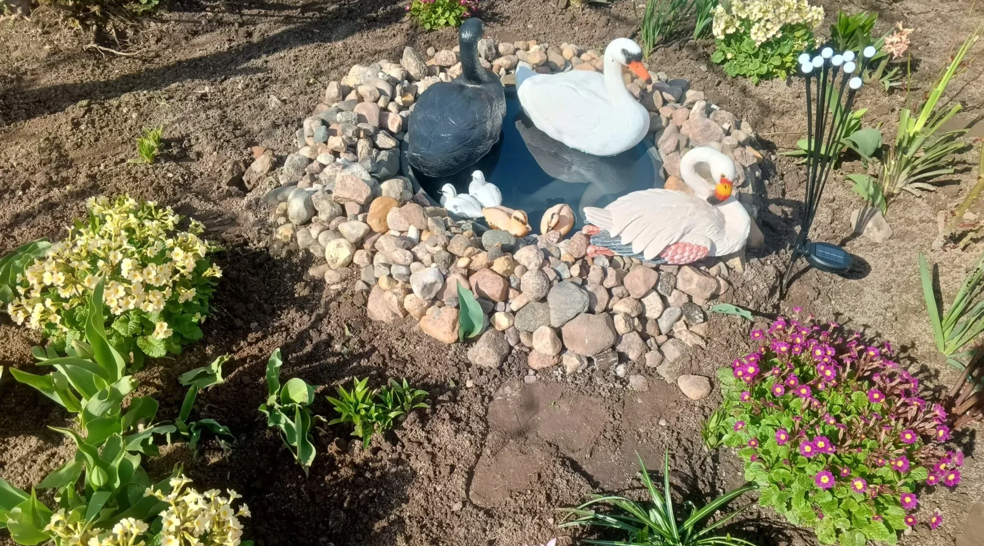 Проект брянской газеты «Красногорская жизнь» «Фотографируют наши читатели»