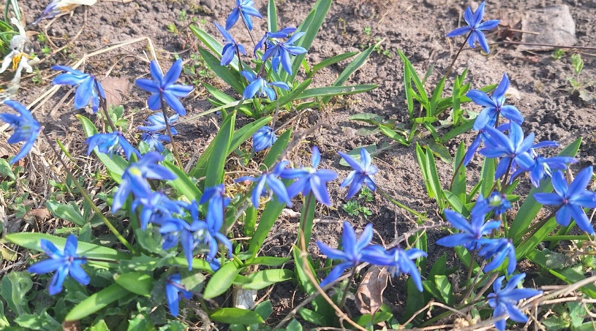 Фотозарисовка от корреспондентов брянской газеты «Красногорская жизнь»