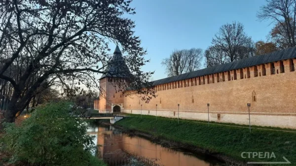 Брянцев пригласили отметить День молодежи в Смоленске