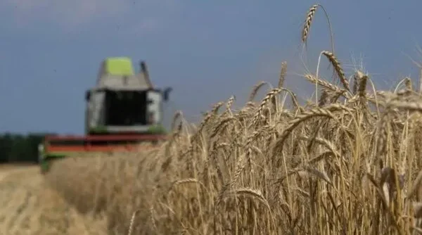Информация для жителей брянской Краснгорщины
