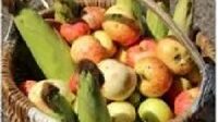 Из редакционной почты брянской газеты «Красногорская жизнь»