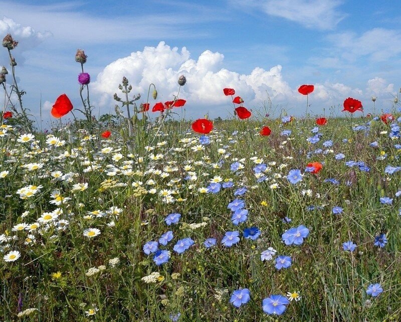 Народный календарь. Приметы