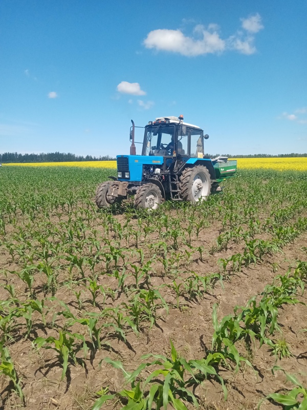 Лето – горячая пора для сельских тружеников брянской Красногорщины