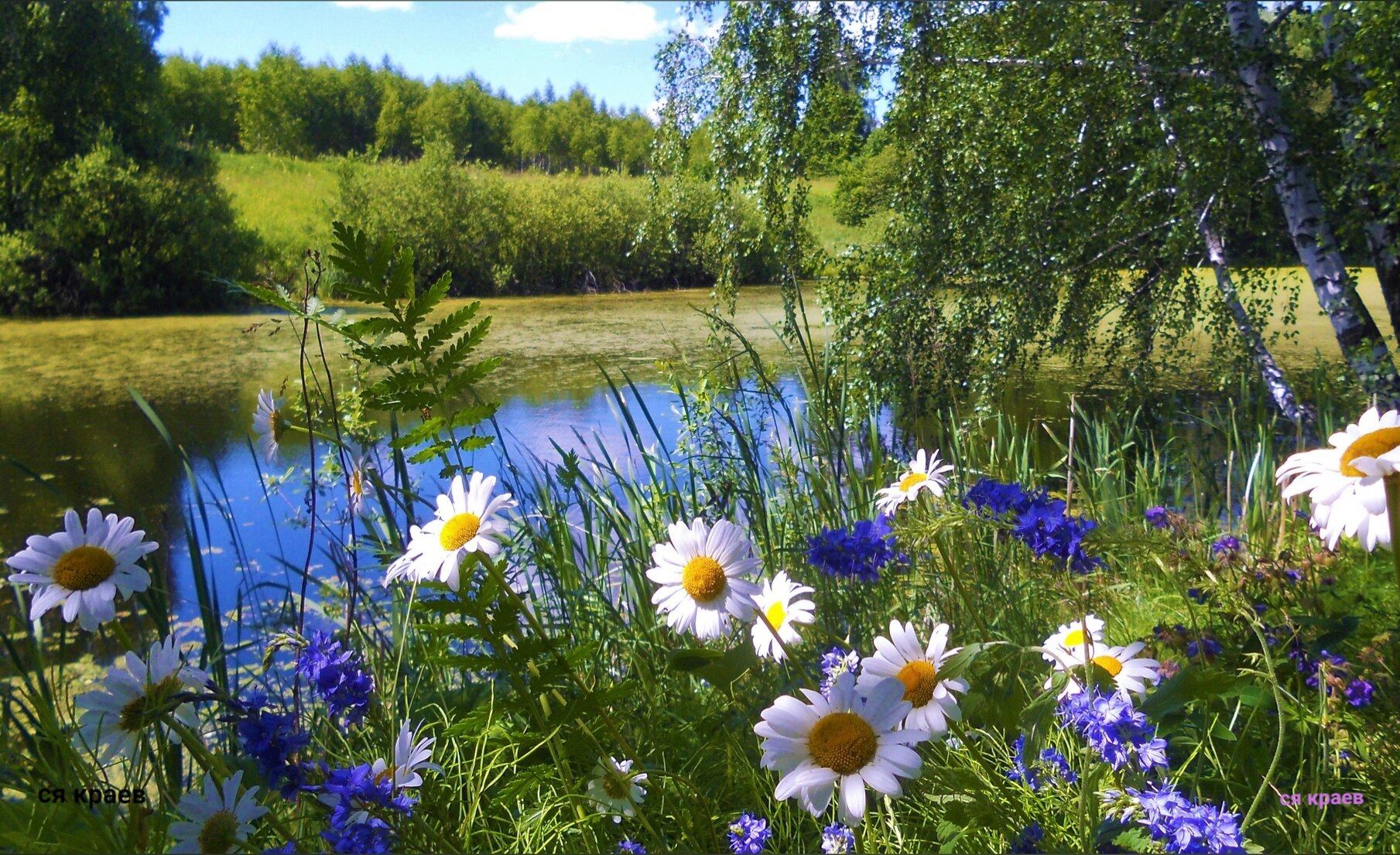 Народный календарь. Приметы