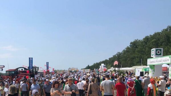 В Кокино состоялось открытие Агровыставки «День Брянского поля -2024» 