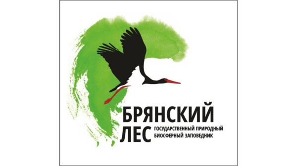 У заповедника «Брянский лес» сегодня 37-й день рождения