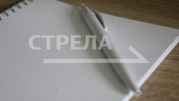 Брянщина находится в числе лидеров по объему мер поддержки участников спецоперации