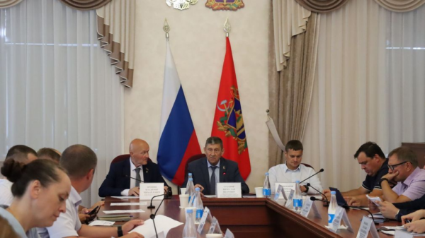 В парламенте брянского региона обсудили реализацию программ в области спорта, молодежной политики и туризма