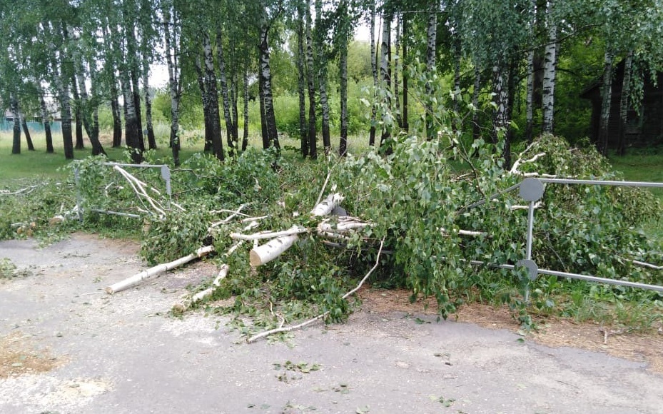 В брянской Красной Горе справились с последствиями стихии