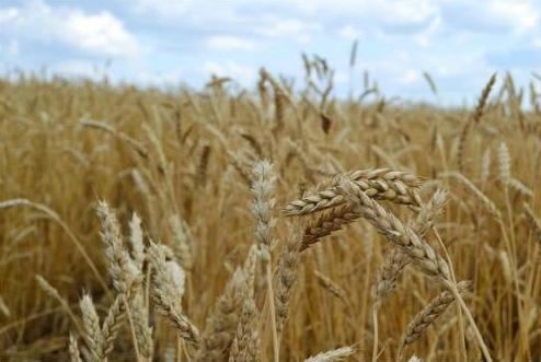 Народный календарь. Приметы