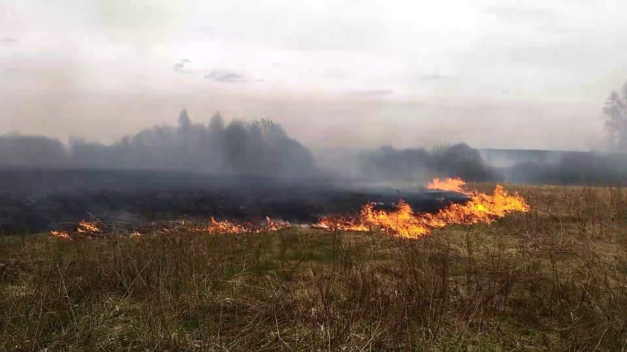 Жителям брянской Красногорщины о правилах поведения в пожароопасный период