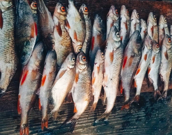 Проект брянской газеты «Красногорская жизнь» «Фотографируют наши читатели»