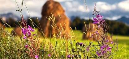 Народный календарь. Приметы