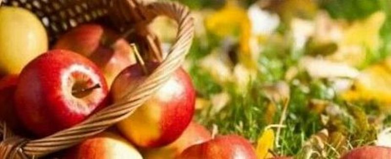 Народный календарь. Приметы