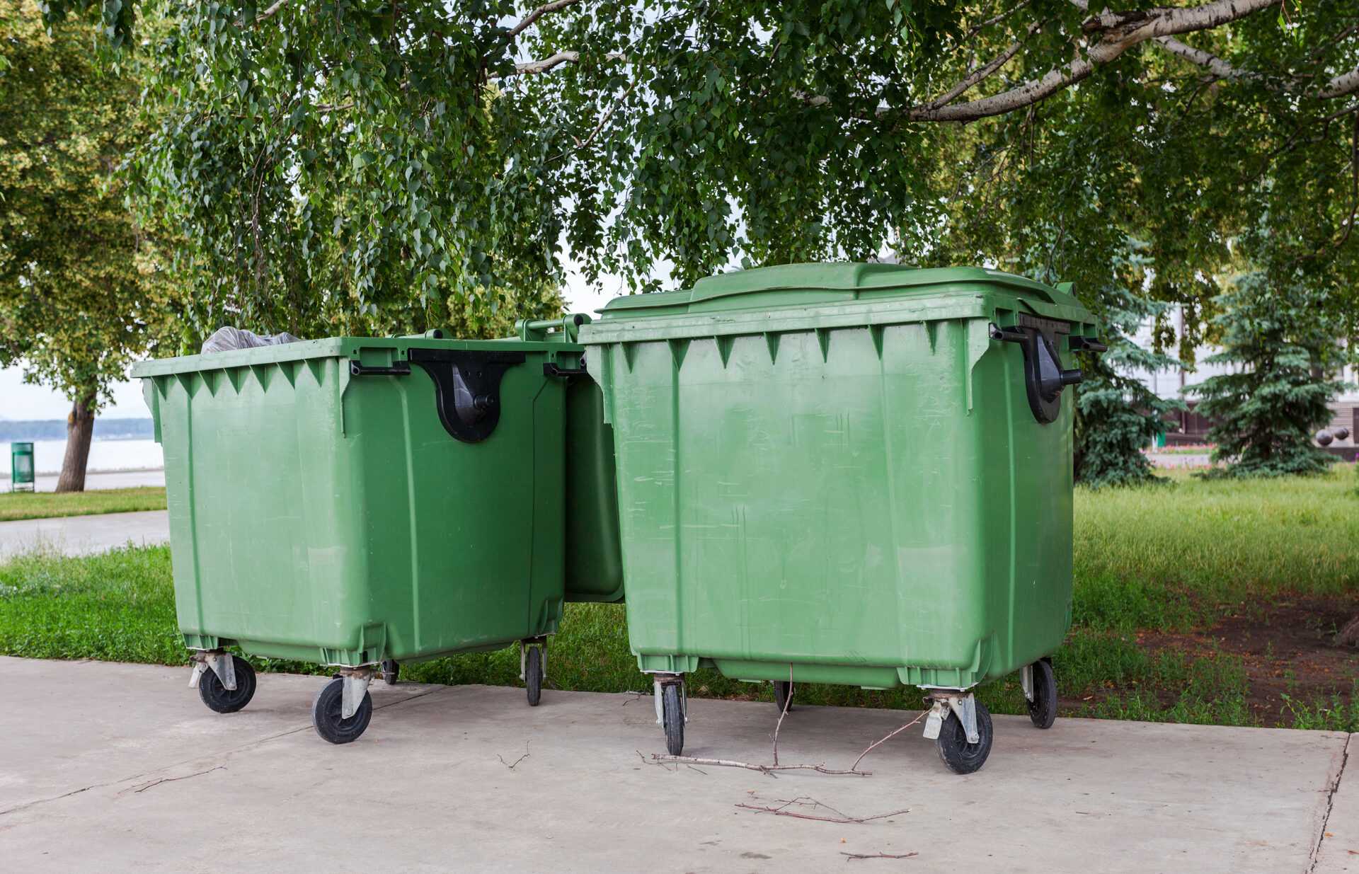 В Красногорском районе Брянщины на вывоз мусора заключены договоры