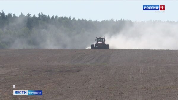 Аграрии брянского региона завершают подготовку почвы и сев озимых культур