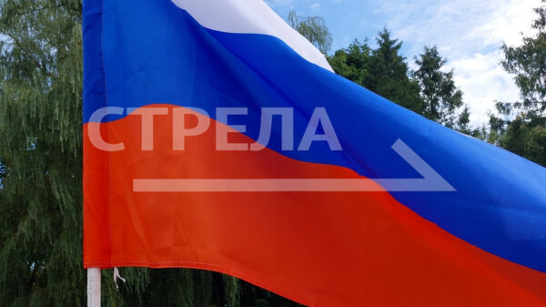 На Брянщине в 20.00 закрылись избирательные участки 