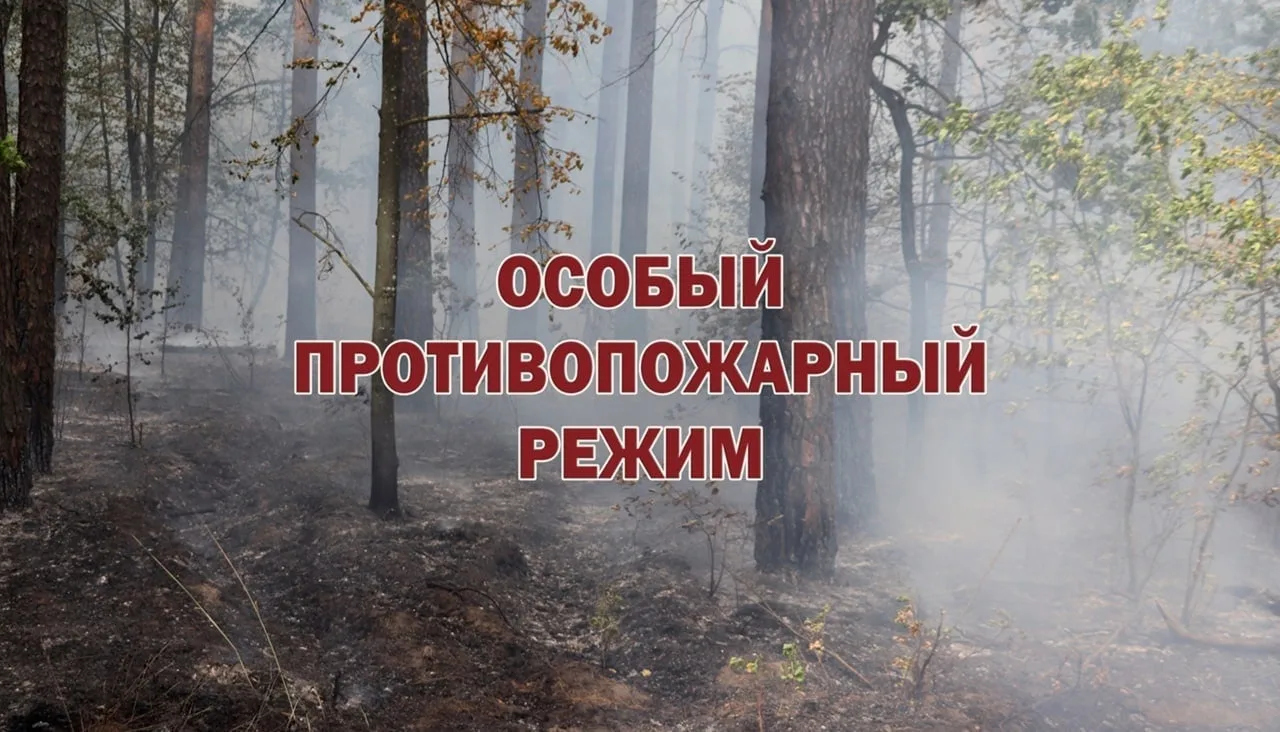 Уважаемые жители Красногорского района Брянщины!