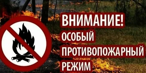 В лесах Брянской области введен особый противопожарный режим