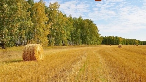 Народный календарь. Приметы