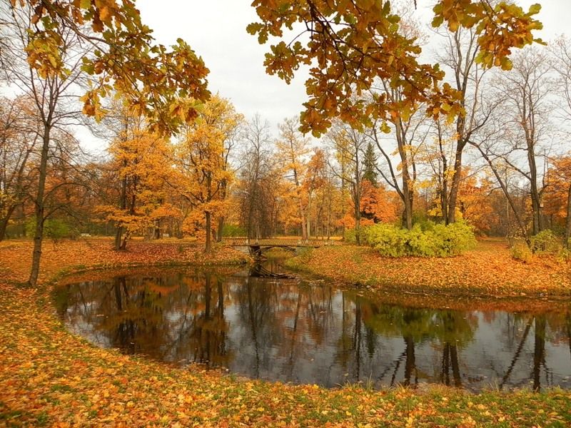 Народный календарь. Приметы.