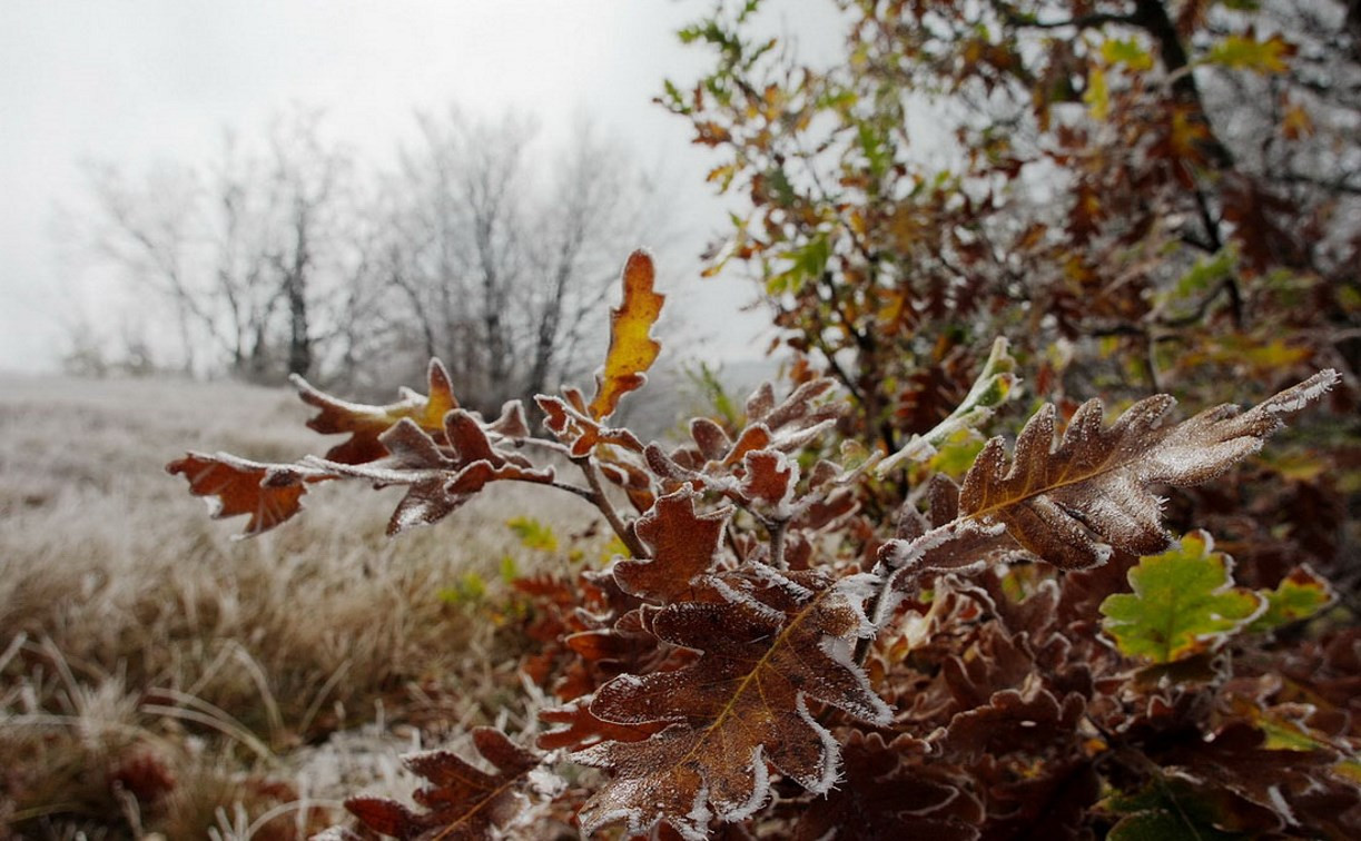 Погода на 17 октября на брянской Красногорщине