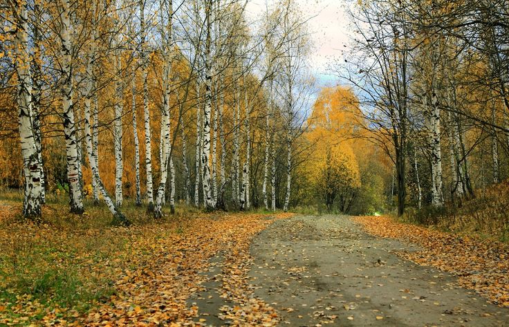 Погода на 27 октября на брянской Красногорщине