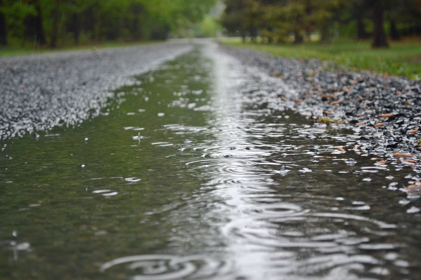 Погода на 7 октября на брянской Красногорщине