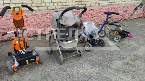 На Брянщине в 2,5 раз увеличилась единовременная выплата награжденным знаком «Материнская слава»