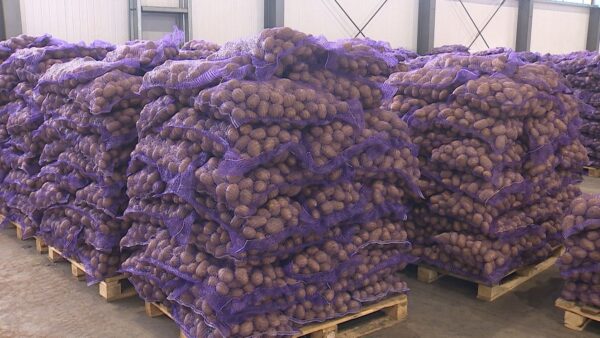 Аграрии Брянской области оказали помощь Приморскому краю