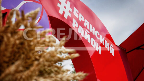 Брянский район готовит экспозицию ко Дню муниципалитетов