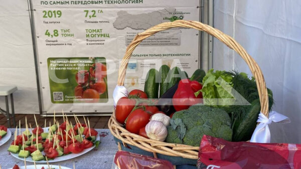 В рамках Дней муниципалитетов свои достижения представляют Дубровский и Брянский районы