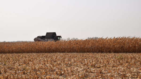 В Климовском районе Брянской области подвели итоги текущего сельскохозяйственного года