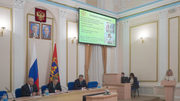 В правительстве брянского региона обсудили вопросы правового просвещения несовершеннолетних