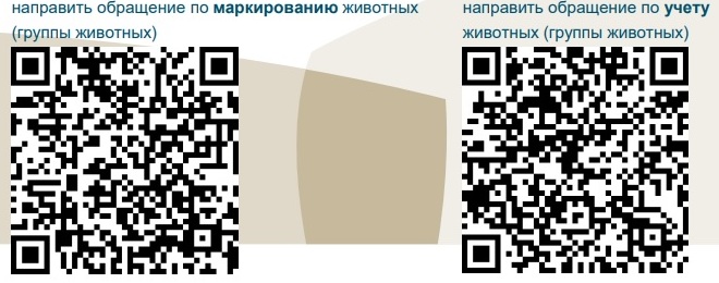 Красногорская ветстанция Брянщины информирует