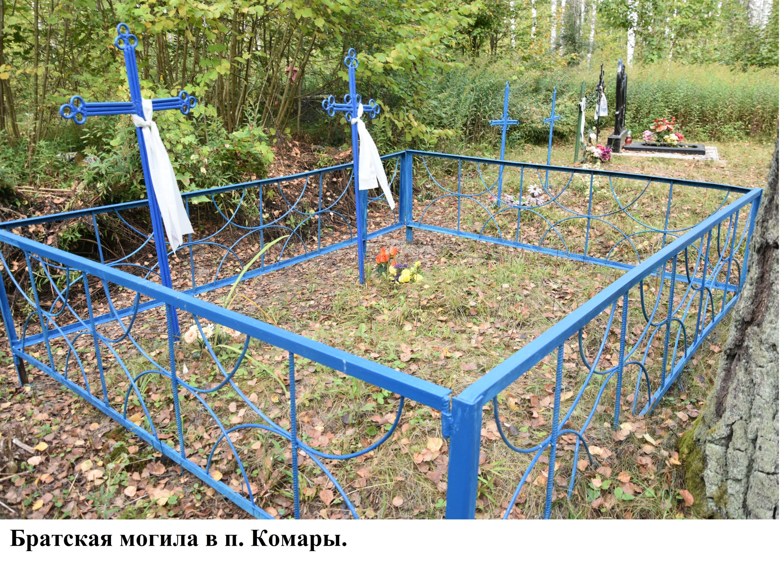 «По делам их судите!»